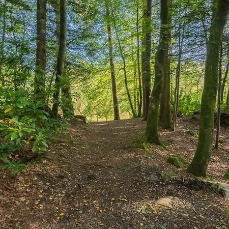 3 Bed In Water Yeat Sz079